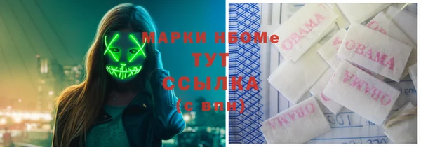 дмт Белокуриха