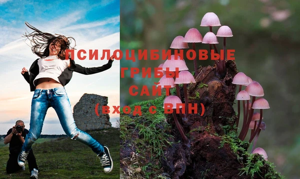 каннабис Беломорск