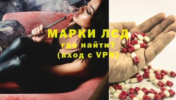 дмт Белокуриха